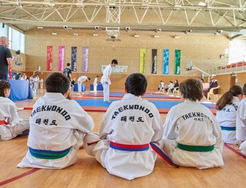 Villanueva de la Cañada acoge el VII Campeonato de Taekwondo