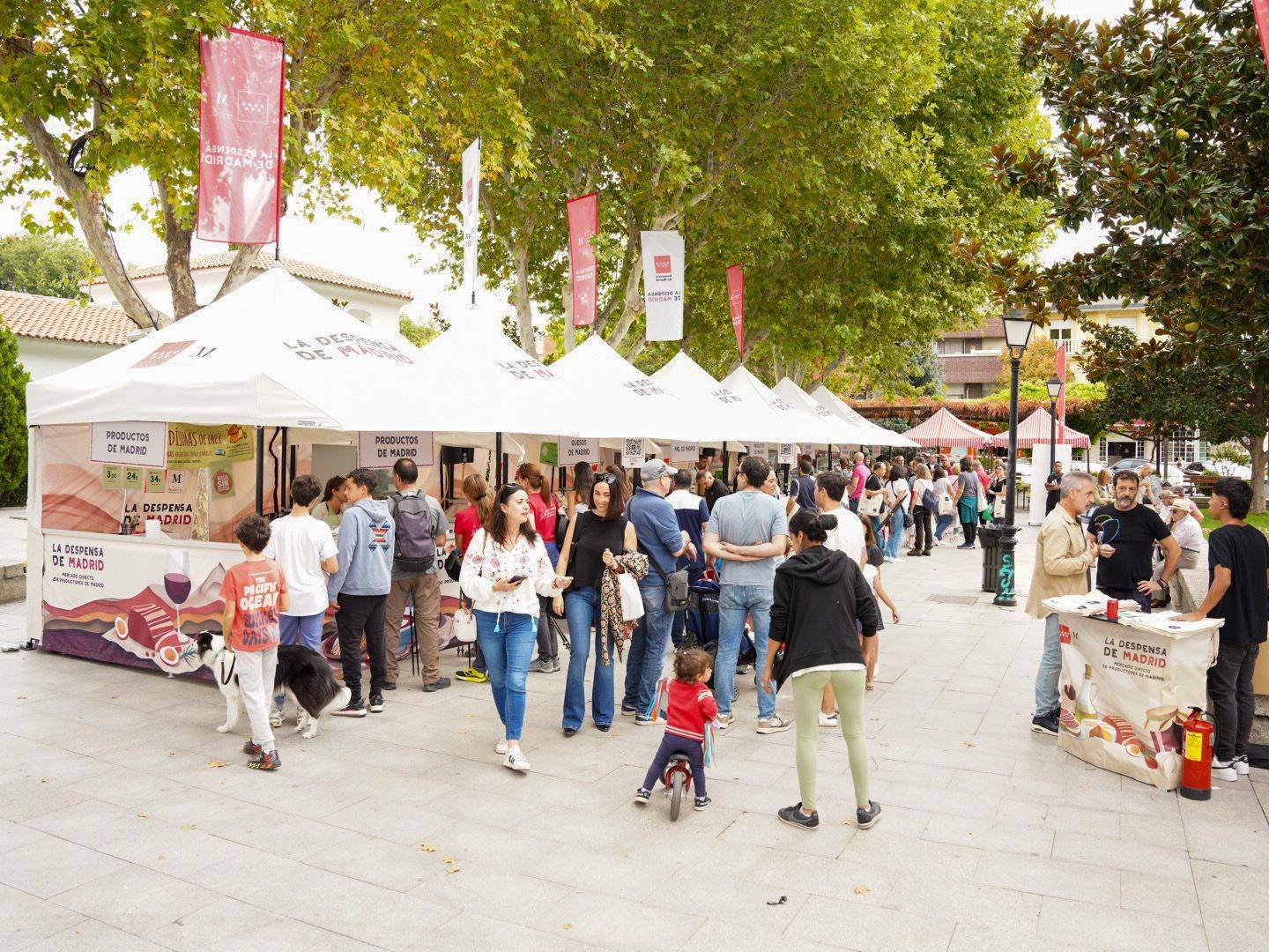 Imagen general del mercado La Despensa de Madrid.