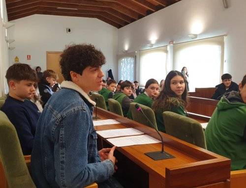 Ochenta estudiantes de Villanueva de la Cañada participan en una simulación del Pleno en el Ayuntamiento