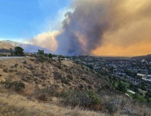 El Ayuntamiento muestra su solidaridad con La Cañada Flintridge, afectada por los incendios