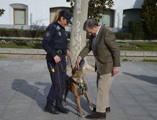 Balto, el nuevo integrante de la Policía Local